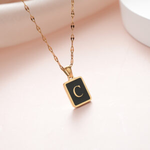 dsc06000
