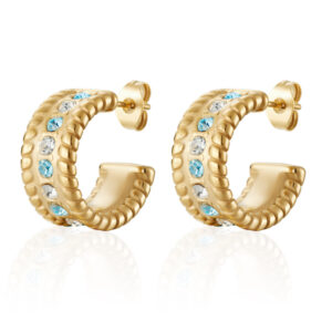 earrings1dsc 4930